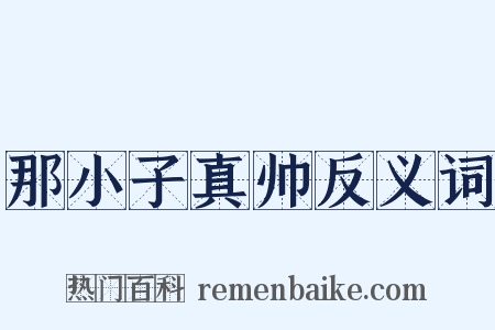 那小子真帅反义词是什么意思的图片